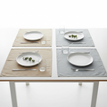 Linen Placemat Set of 4 Modern Dining